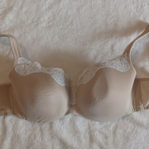 Cacique Bras size 38F